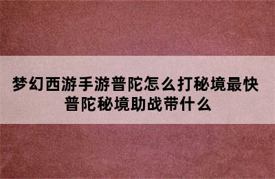 梦幻西游手游普陀怎么打秘境最快 普陀秘境助战带什么